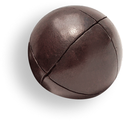 Pilota